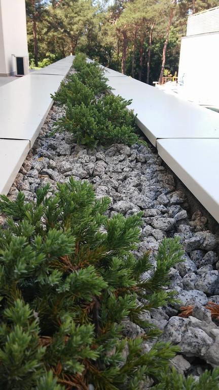 Holiday Home Loft Z Antresola I Balkonem Przy Plazy Miedzyzdroje Bagian luar foto